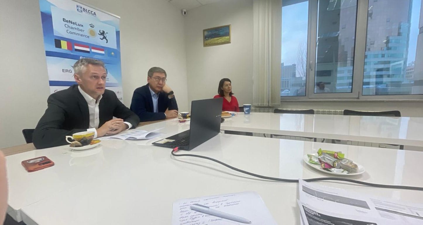 BeNeLux Chamber of Commerce Holds Internal Committee Meeting on Renewable Energy — 3